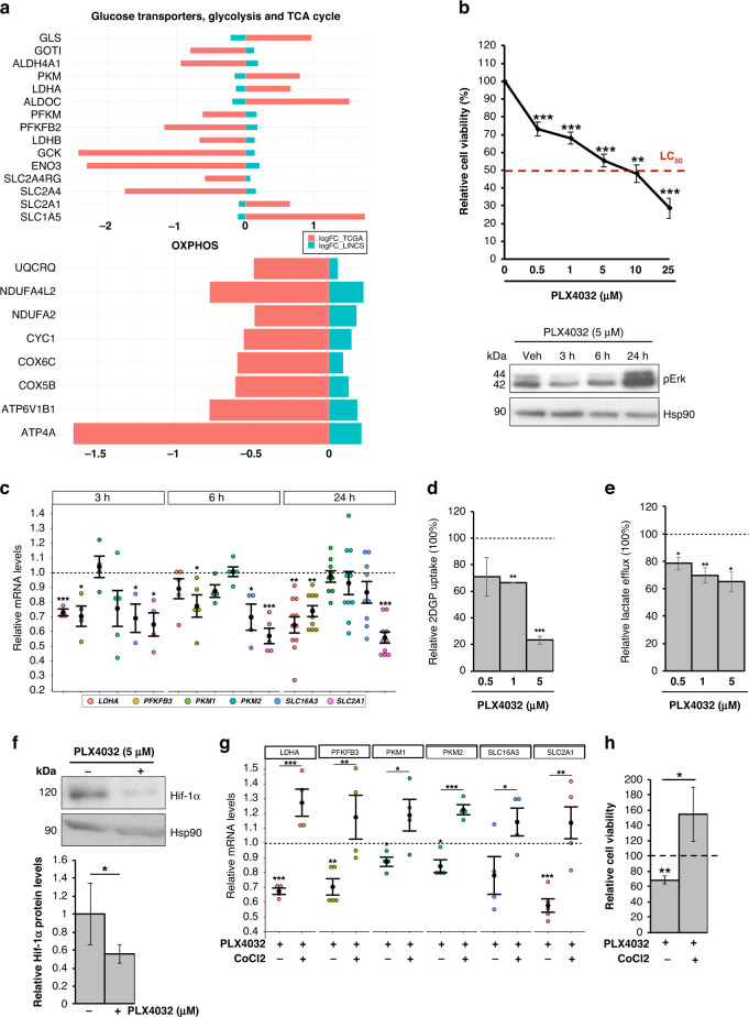 PMC10338540 – Fig5