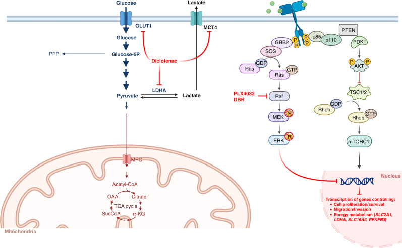 PMC10338540 – Fig8