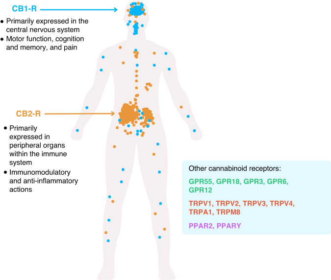 PMC10781684 – Fig1