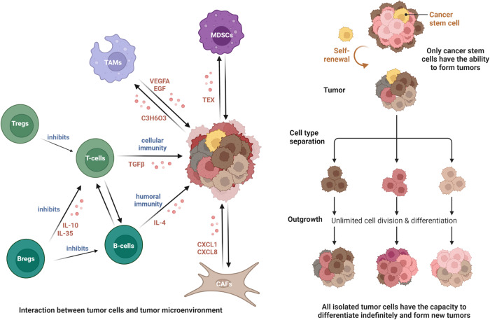 PMC10794142 – Fig2