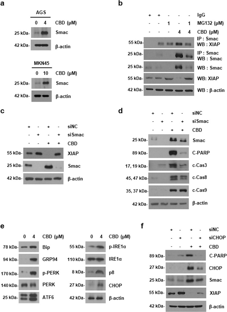 PMC6838113 – Fig4