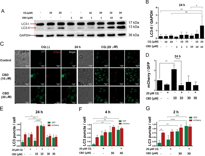 PMC6791884 – Fig3
