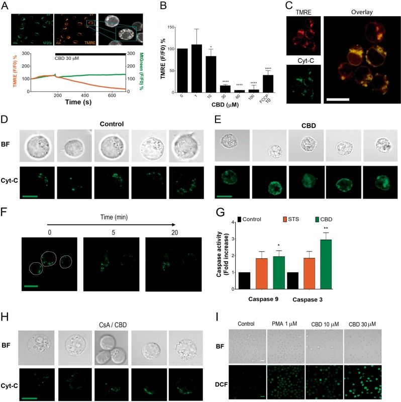 PMC6791884 – Fig4