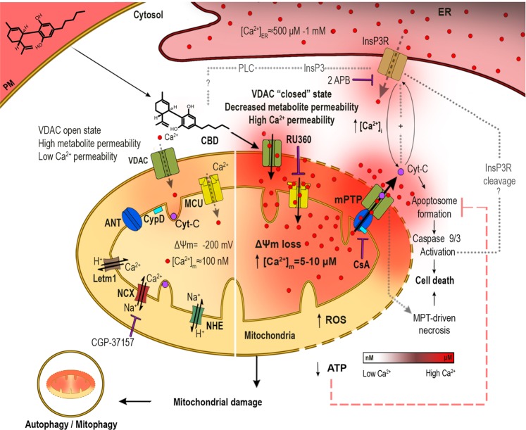 PMC6791884 – Fig8