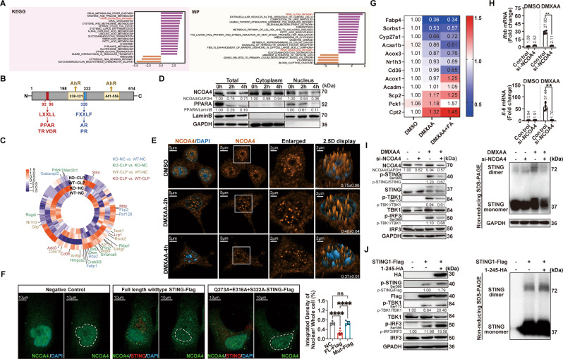 PMC9334269 – Fig5