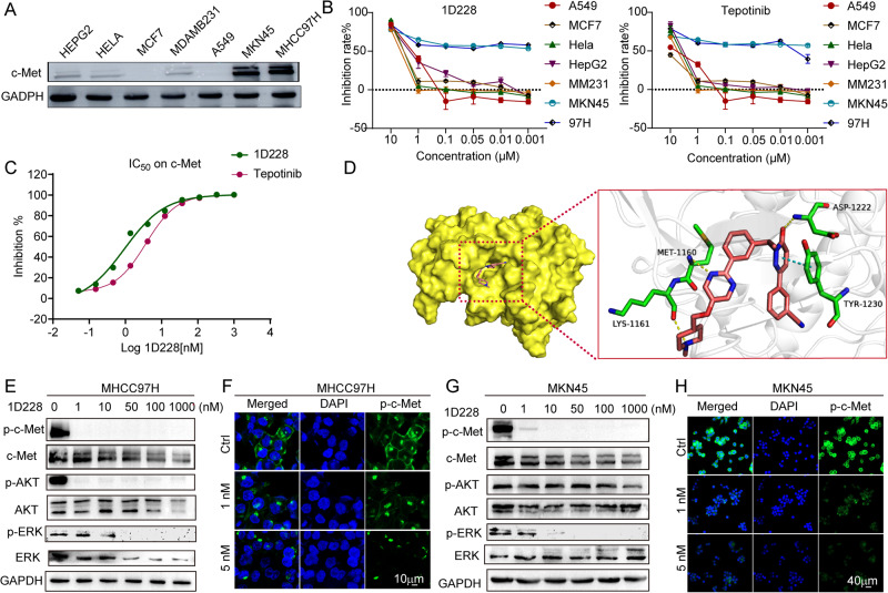 PMC10636171 – Fig2