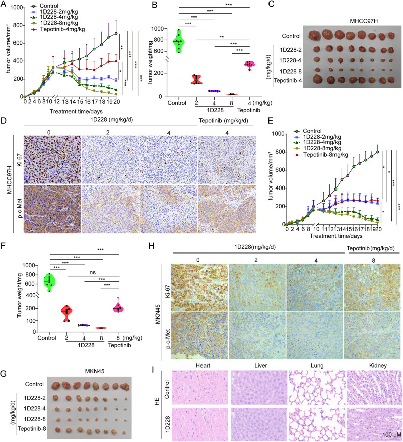 PMC10636171 – Fig3