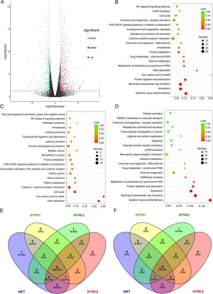 PMC10636171 – Fig4