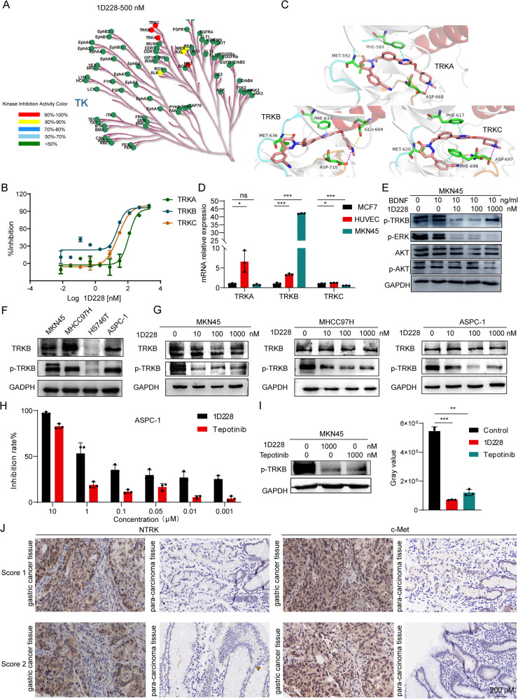 PMC10636171 – Fig5