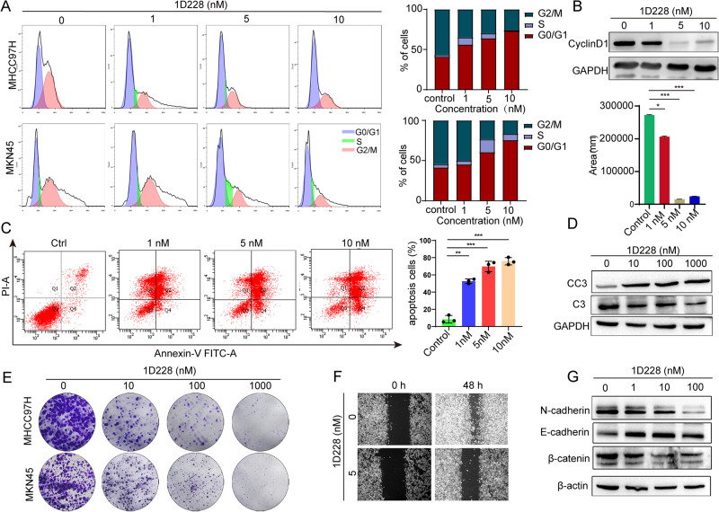 PMC10636171 – Fig6