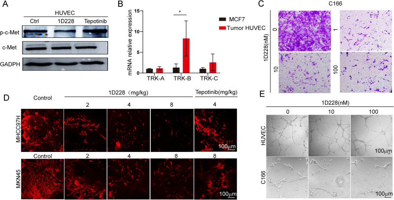 PMC10636171 – Fig7