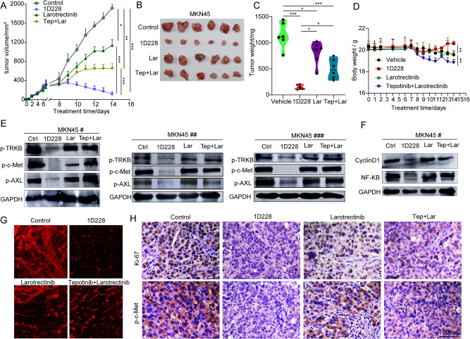 PMC10636171 – Fig8