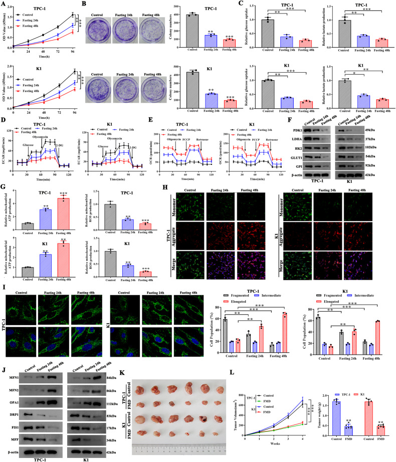 PMC10719255 – Fig1