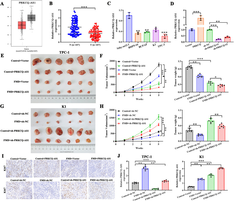 PMC10719255 – Fig2