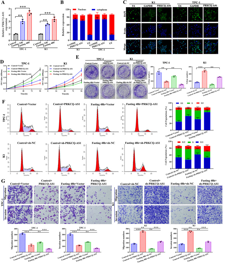PMC10719255 – Fig3