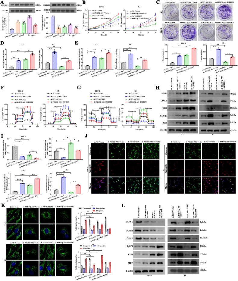PMC10719255 – Fig5