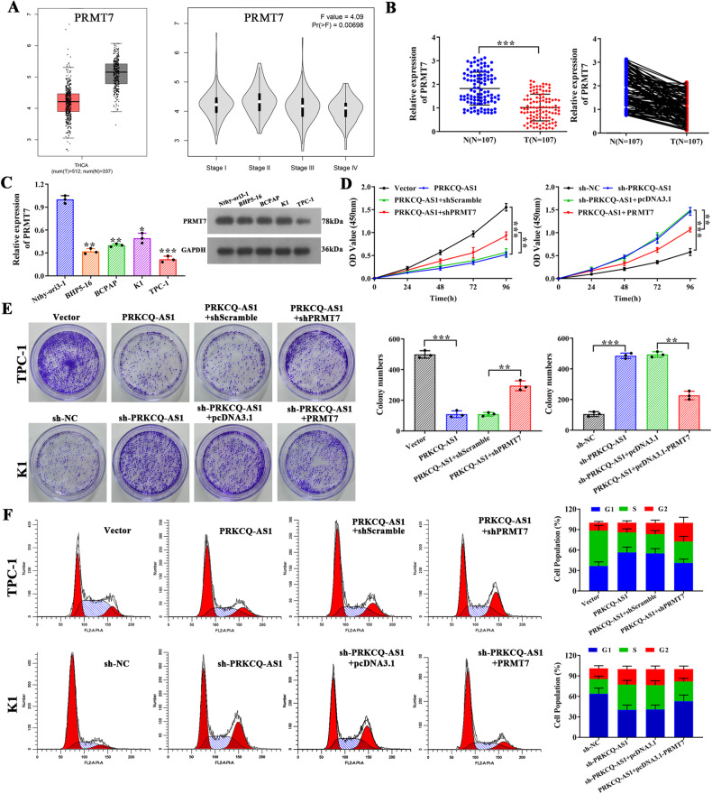 PMC10719255 – Fig7