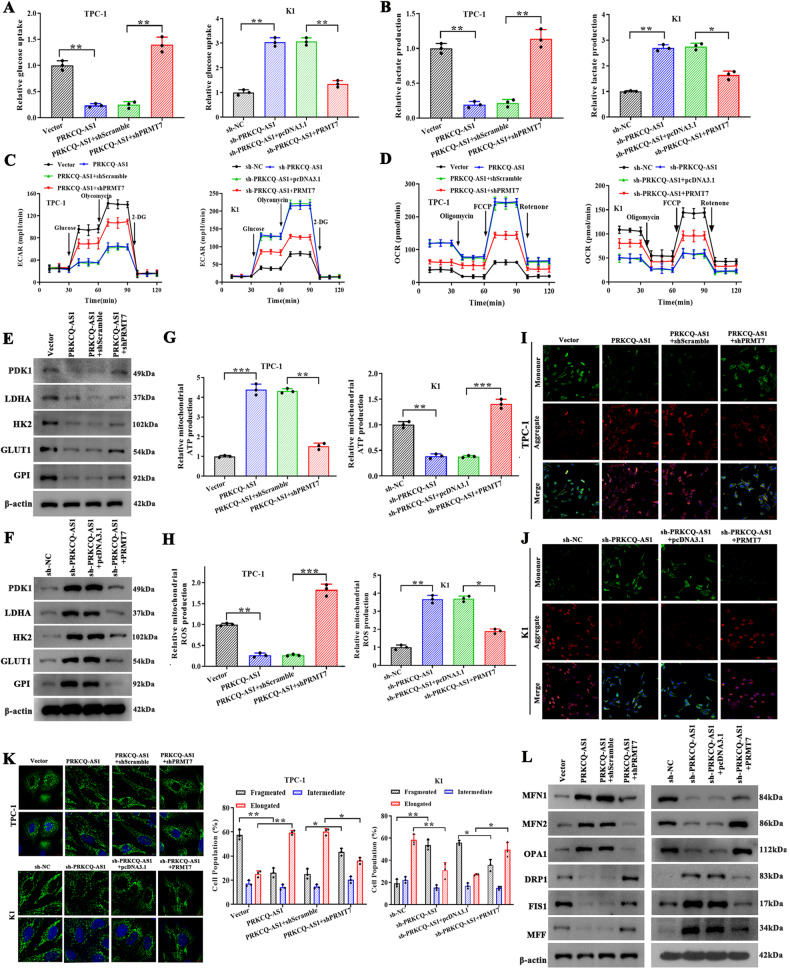 PMC10719255 – Fig8