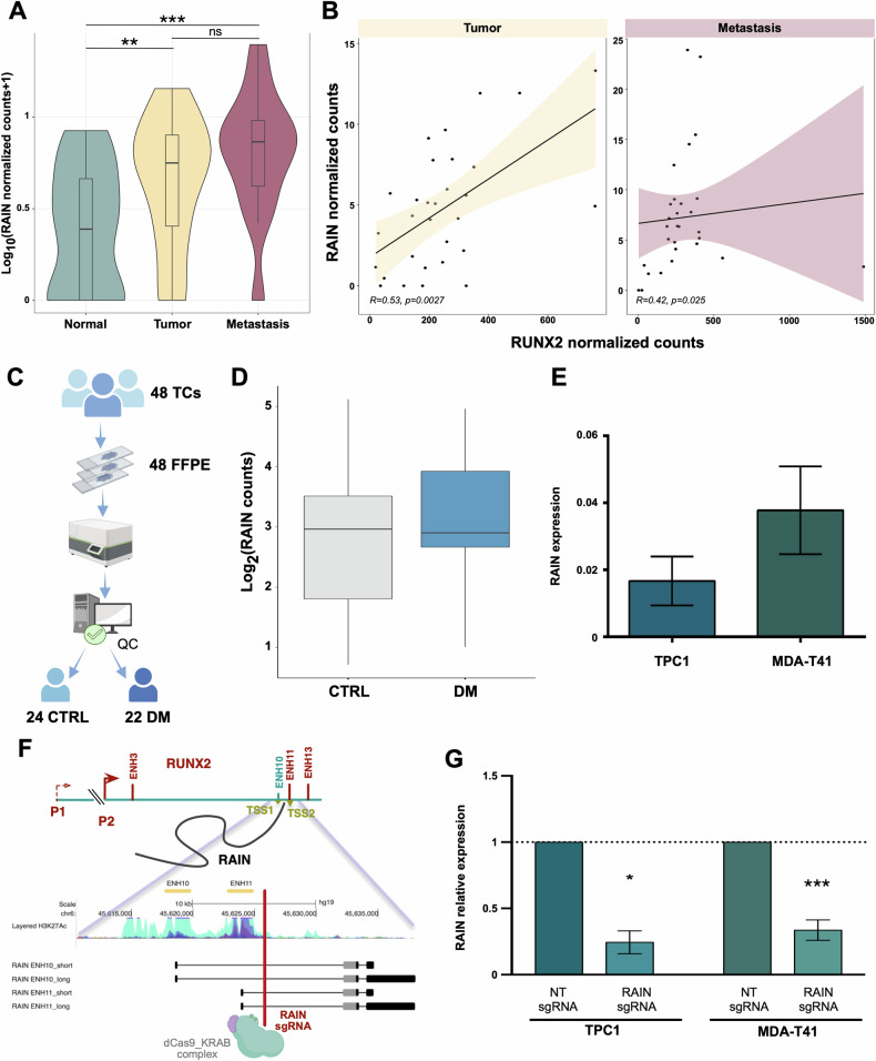 PMC11399121 – Fig1