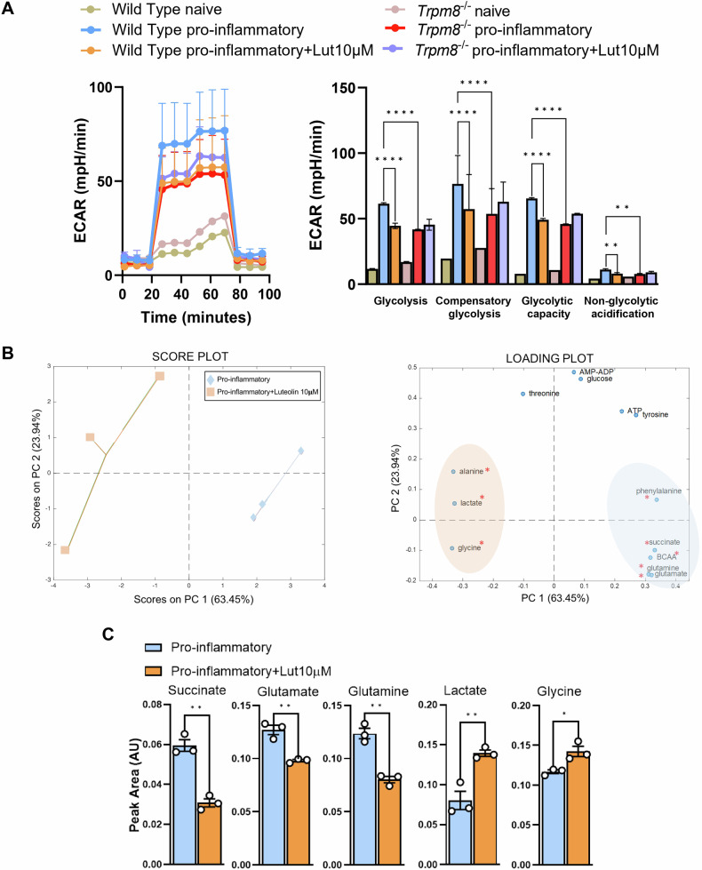PMC12032354 – Fig4