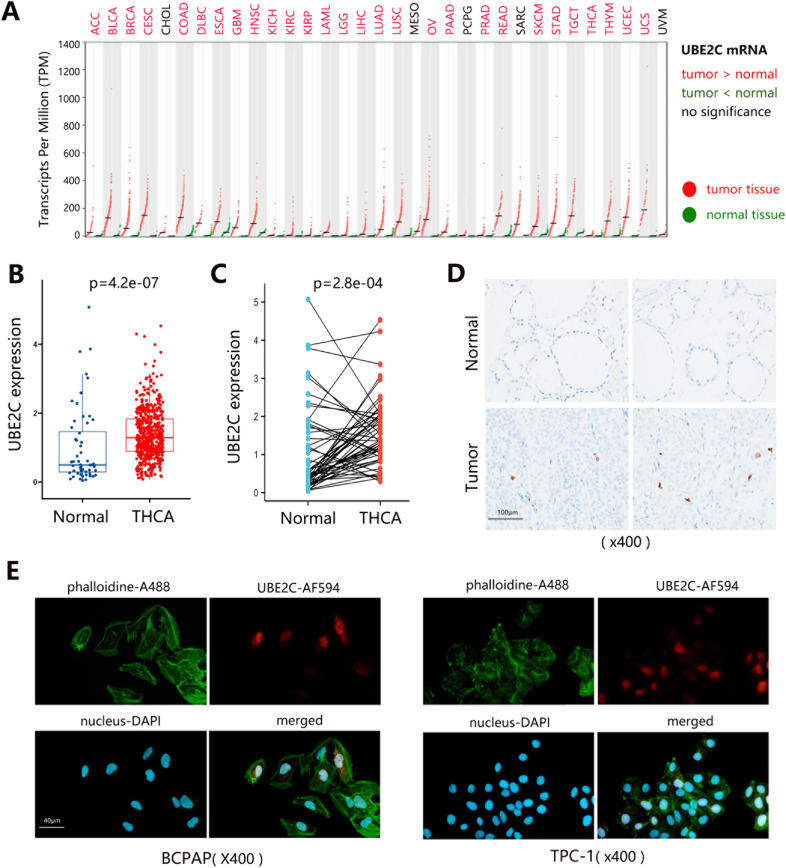 PMC8948250 – Fig2