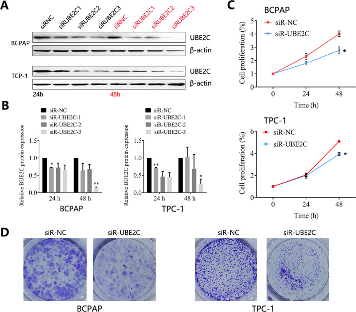 PMC8948250 – Fig4