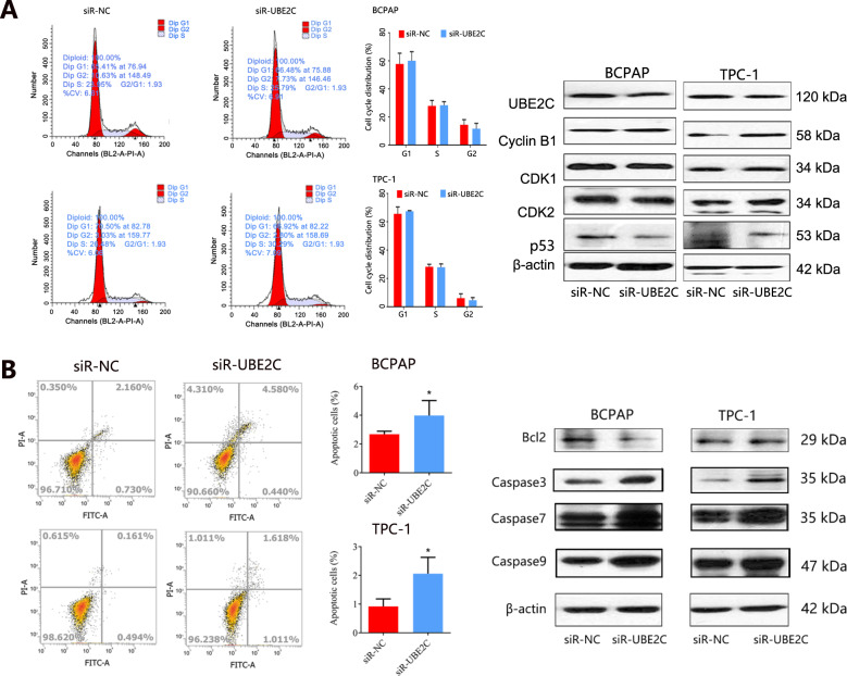 PMC8948250 – Fig5