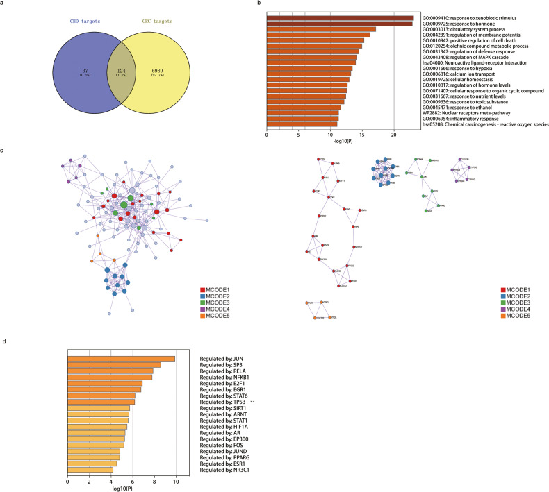 PMC10403543 – Fig1