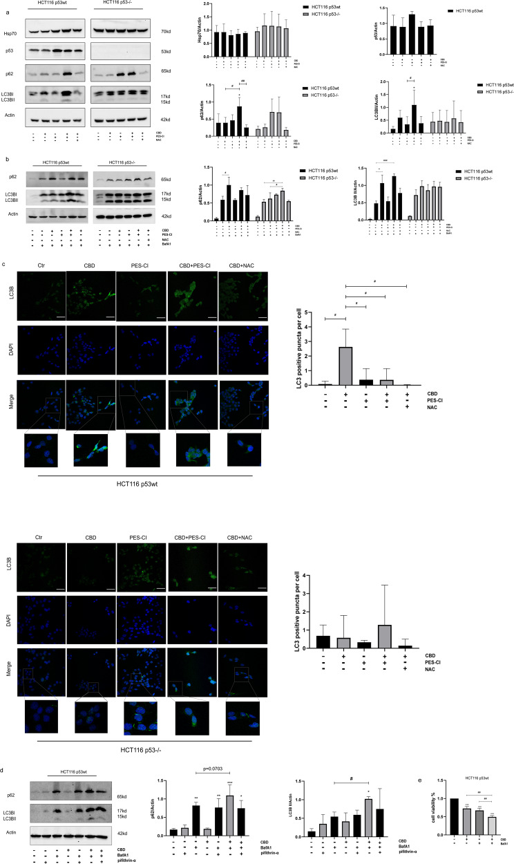 PMC10403543 – Fig6