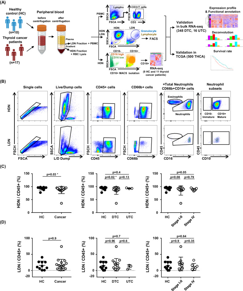 PMC11078953 – Fig1
