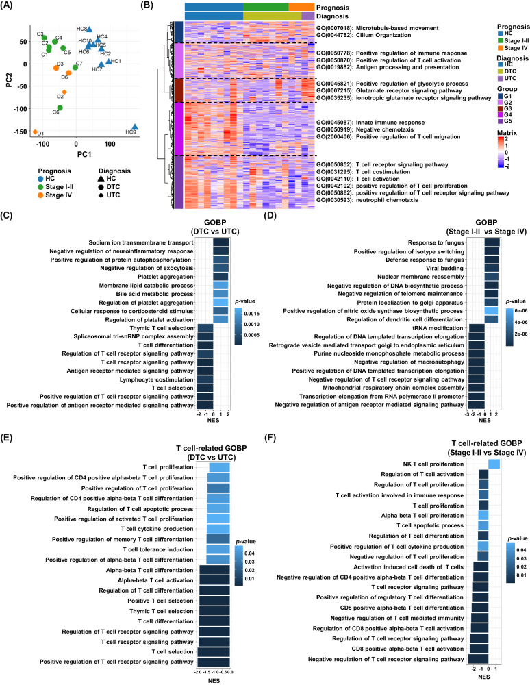 PMC11078953 – Fig3