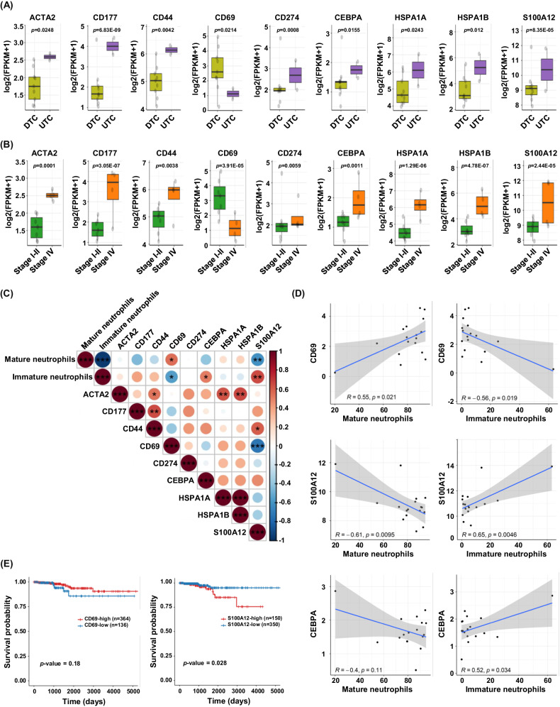 PMC11078953 – Fig4