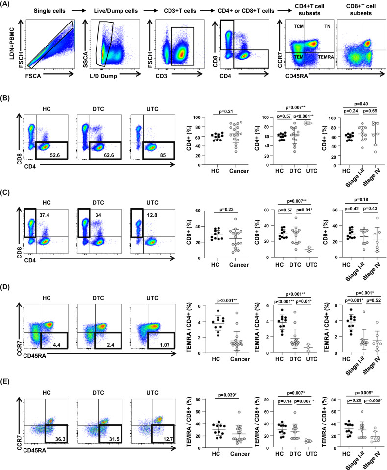 PMC11078953 – Fig5