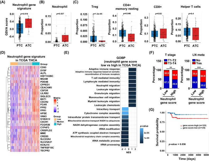 PMC11078953 – Fig6