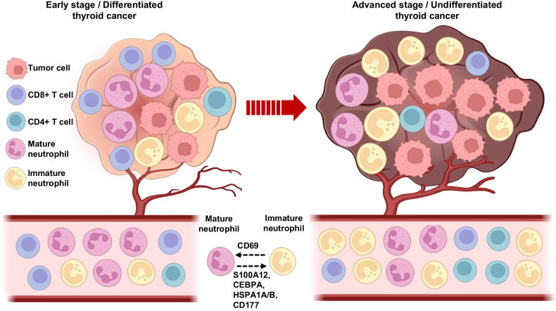 PMC11078953 – Fig7