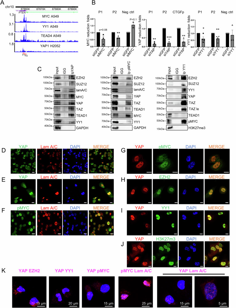 PMC11511861 – Fig1