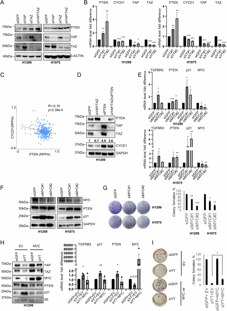 PMC11511861 – Fig2