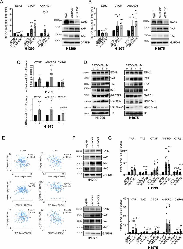 PMC11511861 – Fig3