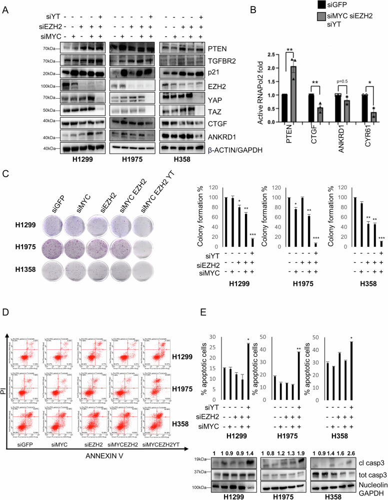 PMC11511861 – Fig4