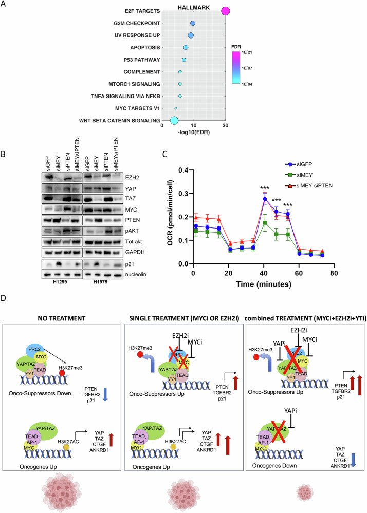 PMC11511861 – Fig5