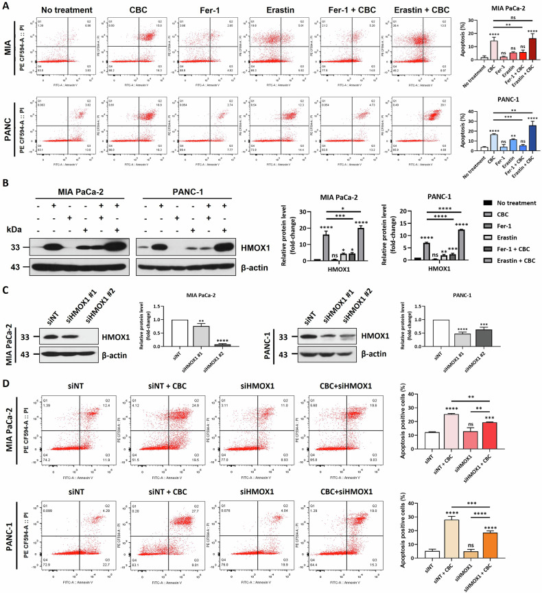 PMC12340112 – Fig3