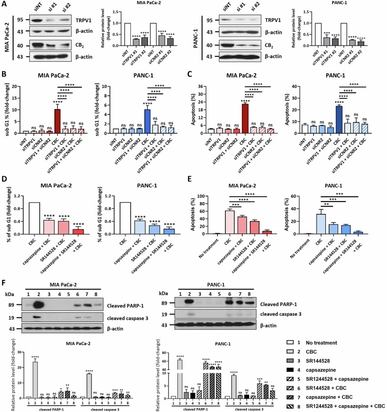 PMC12340112 – Fig6