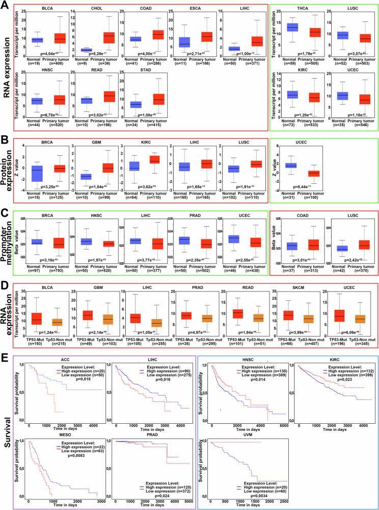 PMC12501302 – Fig2