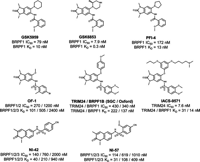 PMC12501302 – Fig3