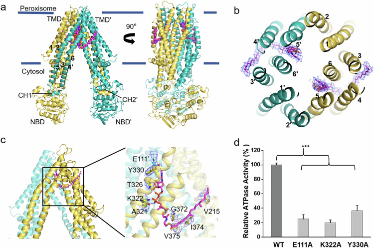 PMC11369193 – Fig2