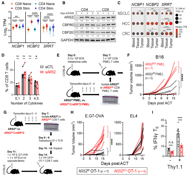 PMC10902291 – Fig1