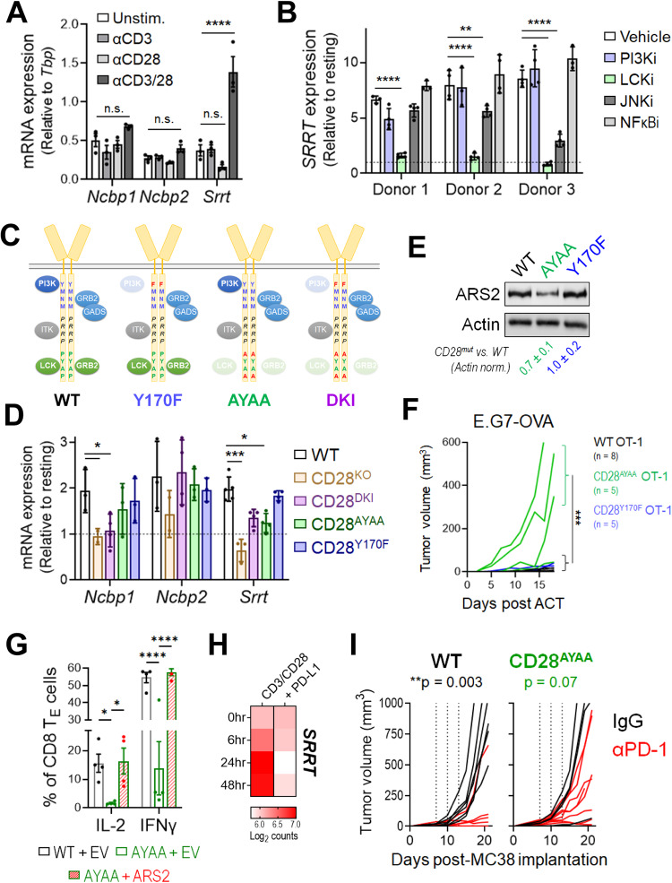 PMC10902291 – Fig2