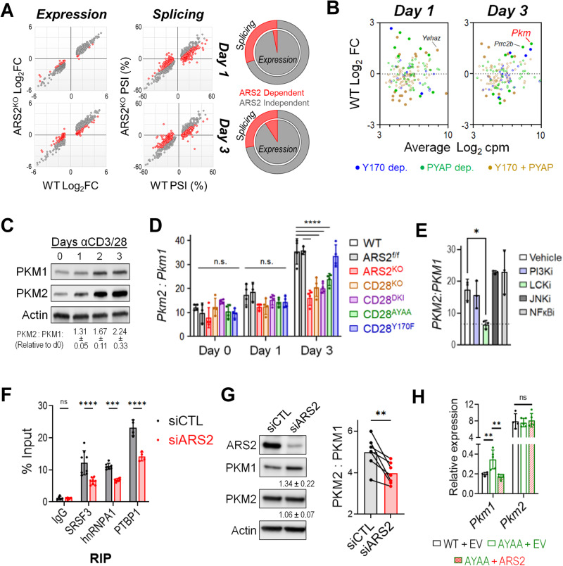 PMC10902291 – Fig3