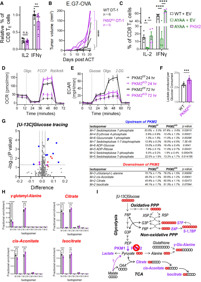 PMC10902291 – Fig4