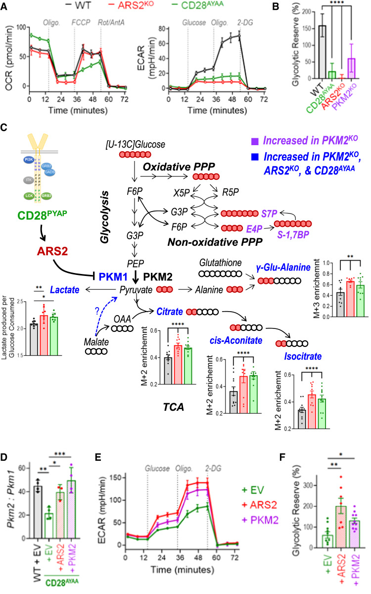 PMC10902291 – Fig5